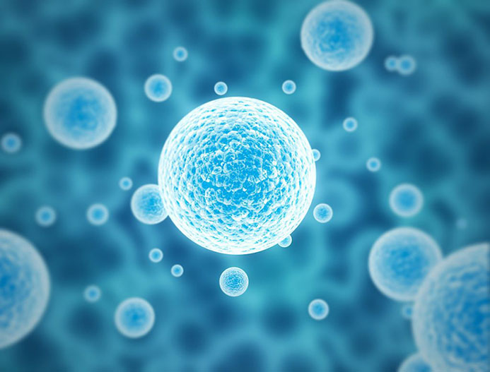 New crown neutralizing antibody quantitative detection, how to use international standard materials?